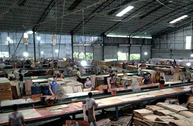 大型建筑木模板生產基地-怪獸木業基地